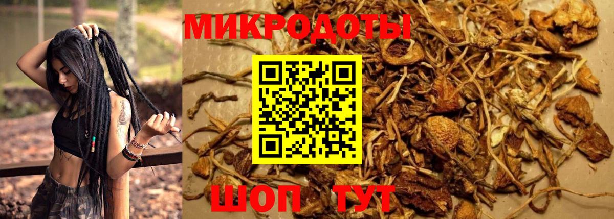 Галлюциногенные грибы прущие грибы  Вход с VPN  Мирный  купить наркоту  Галлюциногенные грибы MAGIC MUSHROOMS 